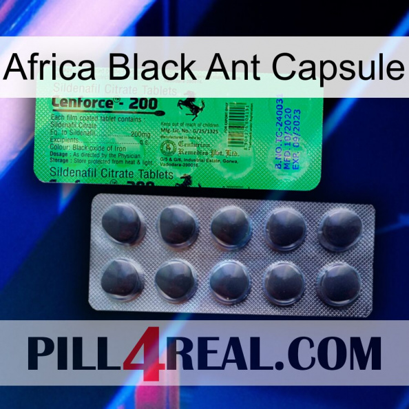 Africa Black Ant Capsule new04.jpg